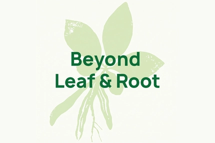 Image Beyond Leaf & Root logo in dark green over a pale green illustration of a plant with leaves and exposed roots.