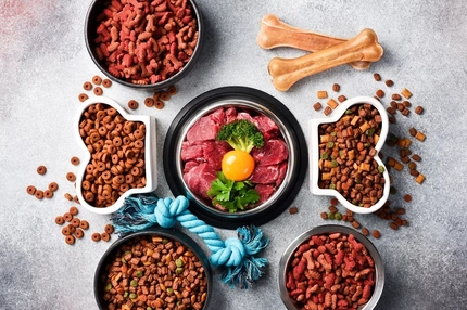 Image Dog food
