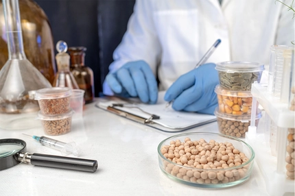 Image Analysis of cereal and legume seeds in the laboratory.
