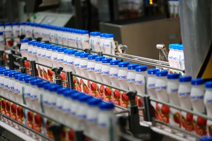 Conveyor belt with Danone drinkable yogurt bottles.