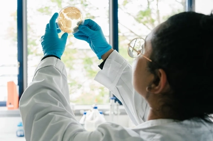 Image Female researcher in lab looking at disc.