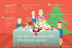 Image Christmas infographic