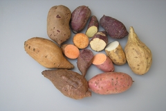 Image Image