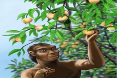 Image Image