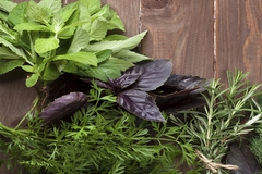 Image Some herbs