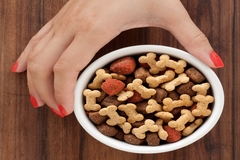 Image Hand holding bowl of dog food.