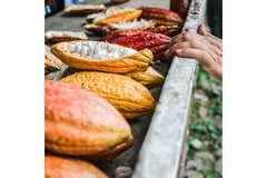 Image Image