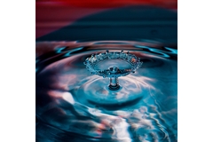 Image Image