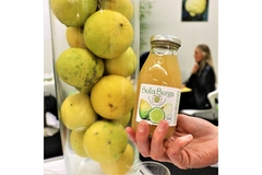 Hand holding a bottle of Bella Berga bergamot juice beside fresh bergamot fruits