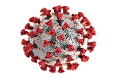Image Coronavirus (COVID-19) virus illustration