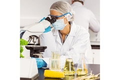 Image scientist