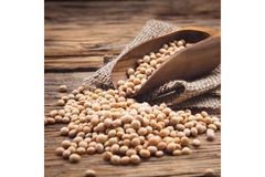 Image Soy beens on a table