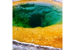 Image Image