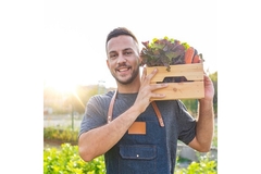 Image Farmer holding crate of fresh vegetables in field