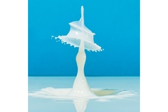 Image Image