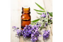 Image Lavender essential oil: A small bottle filled with fragrant purple oil made from lavender flowers.