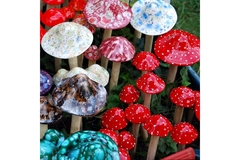 Image Different types of mushrooms growing.
