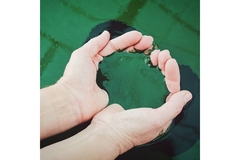 Image Image