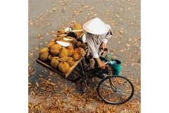 Image Durian fruit in a crate