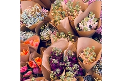 Image Image