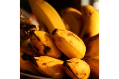 Image A plate with a bunch of bananas placed on it.