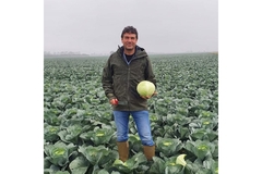 Simon Naylor in a cabbage patch.