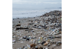 Beach littered with plastic bottles causing water pollution