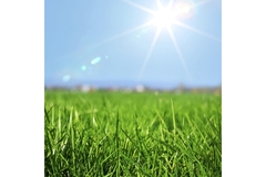Image Field and sun shining