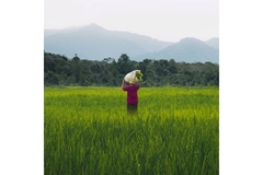 Image Person standing in field