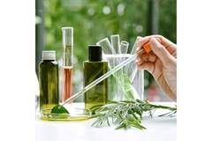 Image Scientist studies a green leaf placed on a petri dish.