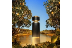 Image A luminous black and gold fragrance bottle hovers above a pond surrounded in a fruiting orange grove.