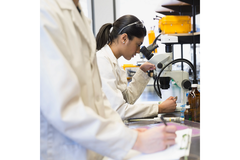 Image A woman looks into a microscope in a lab.