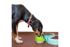 Image Dog eating from a bowl.
