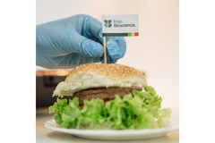Image Plant based burger