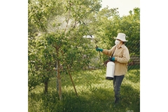 Image Pesticides being sprayed