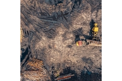 Image Deforestation