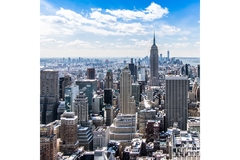 Image The Ney York City skyline.