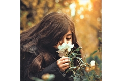 Image A young child smells a flower.
