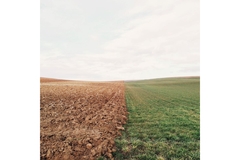 Image Draught and healthy field comparison