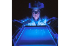 Female researcher in the lab conductiong AI experiments