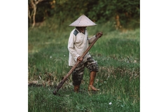 Local man in asia sustainable argiculture
