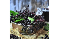 Elderberries in a bowl.