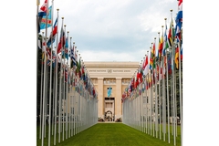 Image United Nations UN's main building with flags for each country