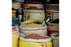 Beans in bags ready to be exported