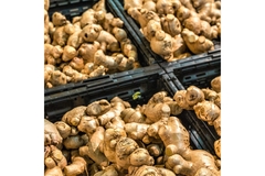 Ginger root on display at a market stand.