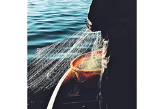 Image A man on a boat with a fishing net.