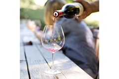 Image A hand pouring wine into a glass.