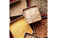 Image Rices.