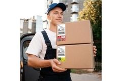 Image Postman delivering parcel.