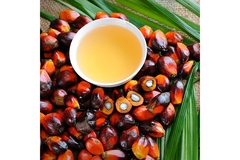 Image Palm oil seeds next to a bowl of palm oil.